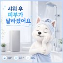 코웨이 연수기 렌탈 후기, 샤워 후 피부 가려움 확 줄었습니다!