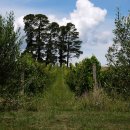 미류네 농장 이미지