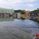 성화낚시터 이미지