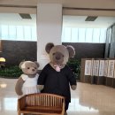 휘닉스카페