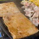 33한돼지 이미지