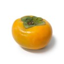 진영상회 이미지