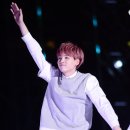 슈가 카카오 검색결과