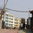 세곡초교 이미지