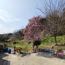 강서참사랑의원 | 부산 경마공원 맛집 천리향 범방동 맛집 부산 강서 맛집 가족외식 후기