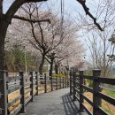 4월16일(목) 신구식물원.대왕저수지수변길 이미지