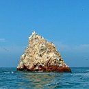 새,물개,바다사자의 천국 "바예스타 섬" 에 가다 -이카- 이미지