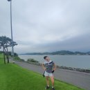 슬기로운골프생활 이미지