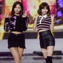 모모 이미지