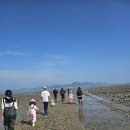 갯벌생태 체험장 | 보령 대천 아이랑 가기 좋은 체험학습｜군헌갯벌체험장 리얼 후기