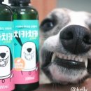 주식회사 미미펫 | 깨끗한 강아지 치아관리 ! 강아지덴탈스프레이 찾는다면? 치카치카쿨 강아지치약 실제 사용후기!