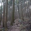 구포설렁탕 이미지