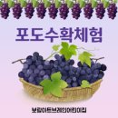 보람아트브레인어린이집 이미지