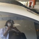 댕댕댕 애견유치원 이미지