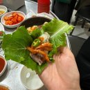 굴나라 이미지