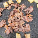 덕  산 | 구미 인동 / 말복 맞이 보양식 진한 국물의 모던덕(모던타운)오리백숙 솔직 후기