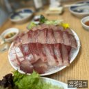 판교횟집 | 대진항막회 : 판교방어맛집 내돈내산 솔직후기