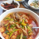 전라도애호박찌개