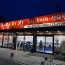 [청초호 맛집] 진양횟집에서 신선한 모듬회, 오징어순대 후기