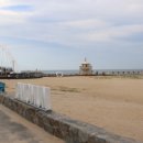 강릉친구집 이미지