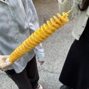 재명농장 | 입실렌티체이홉카시코시웰시코기