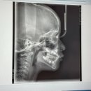 선이고운연세치과의원 이미지