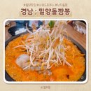 [경남밀양:밀양돌짬뽕] 매콤한 낙지짬뽕 한그릇! 밀양해장맛집(fast. 수제돈탕 👍)
