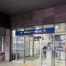 완도약국 | 강아지랑 배타고 제주도 여행 : 완도 - 제주 (실버클라우드 후기)