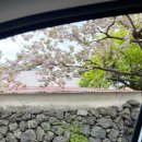 회수동-4 이미지