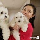 유명채널