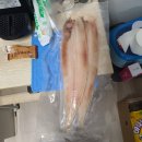 군산 참박대 수산 이미지