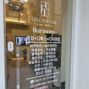 하모니 | 누워서 하는 쉽고 편한 다이어트 일산 셀포랩 하모니 방문 후기