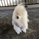 고려병원 앞 | 좁은이마 탈출기 ! | 이마 레이저 제모 후기 (병원정보 + 가격)