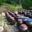 푸른솔농원 이미지