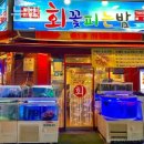 회꽃피는밤 이미지