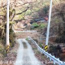 [창녕] 영축산(靈鷲山,681ｍ)~변봉 산행후기---2023년 11월 28일(화) 이미지