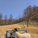 유인목장 이미지