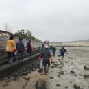 무안황토갯벌랜드 이미지