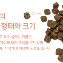 야옹아 멍멍해봐(수원 구운점) 이미지