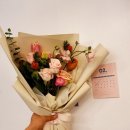 도래플로라