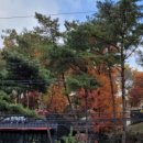 소나무스테이 이미지