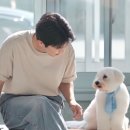 우리는 복 받은 영웅시대! 이미지