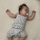 (주)씨티라이프 | 7월 육아일기/ 두살터울 유모차(부가부비5 휠보드vs씨티투어더블)/7월소비목록/서울랜드/또랑 첫 이유식