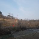 정곡면사무소 이미지