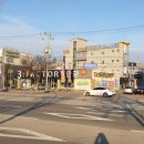 금오회계사무소 이미지