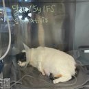 명덕동물병원 이미지