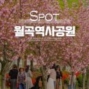 화원동산 주차장 이미지