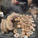 벌교사료 이미지