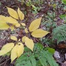 찬조농장 이미지