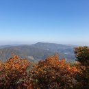 수원-0296 이미지